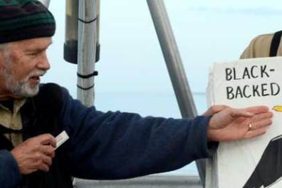 a man looking out over the water on a puffin cruise