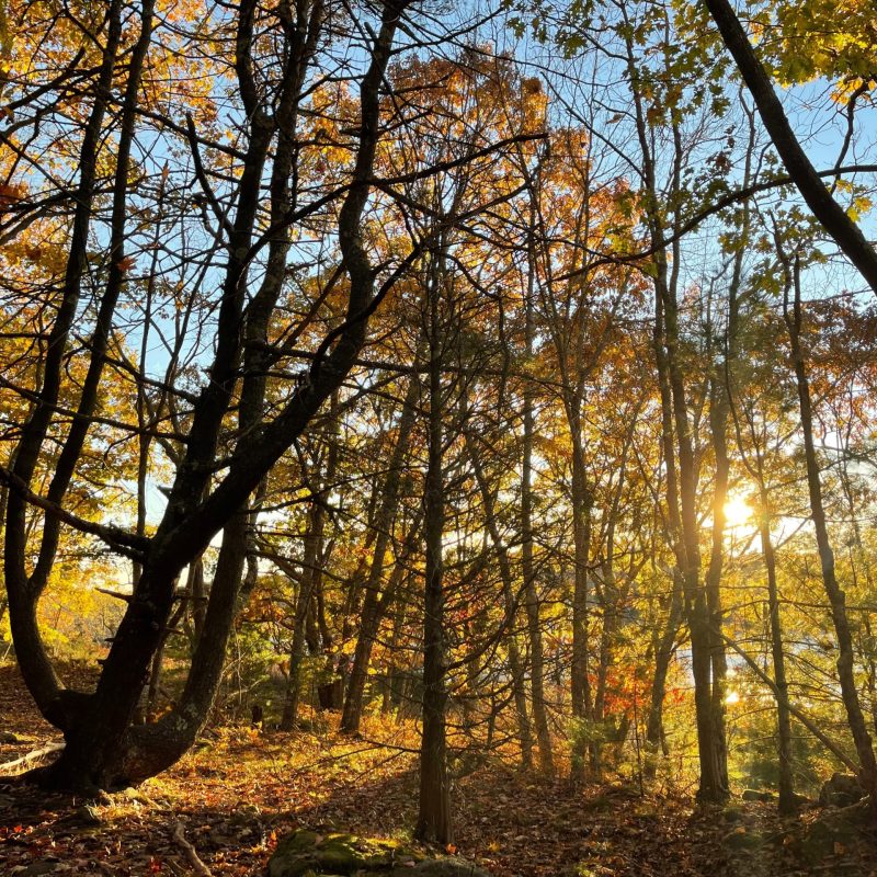 Photo by Yaroslav Muzychenko on Unsplash