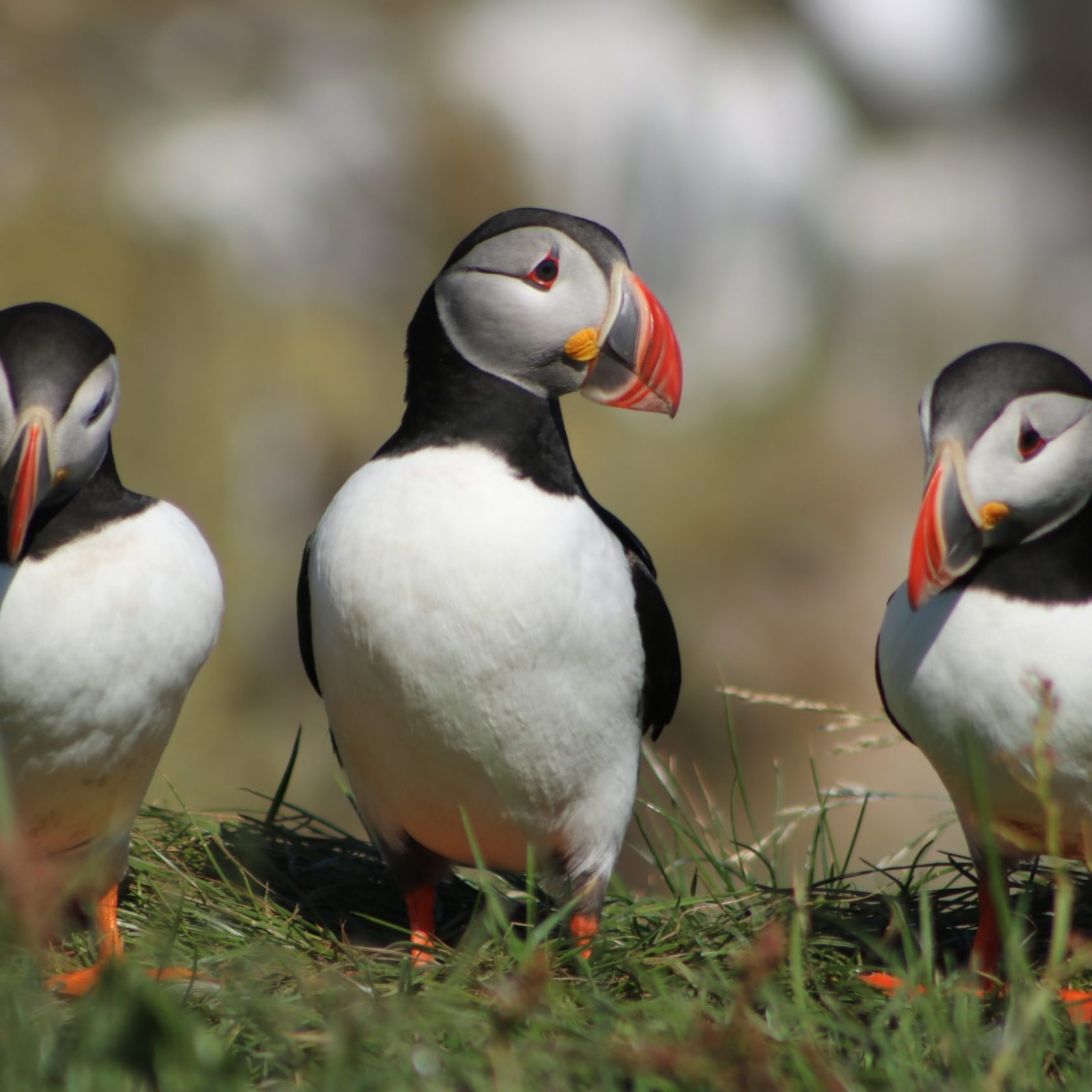 Photo by Anina Huber on Unsplash