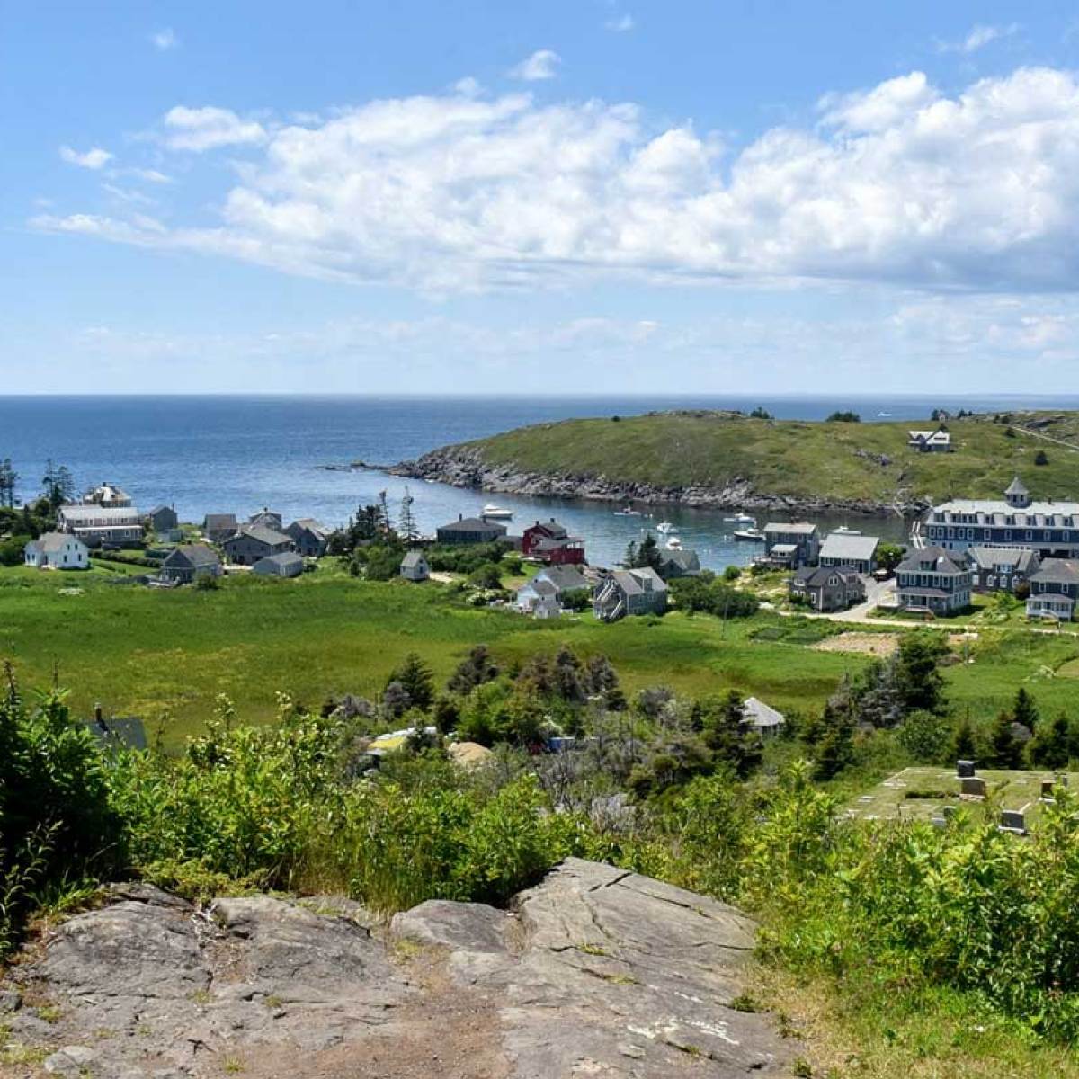 a herd of sheep grazing on a lush green field