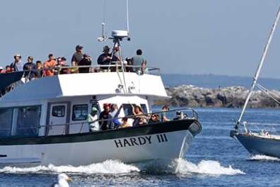 a small boat in a body of water