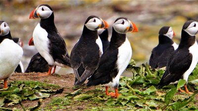 Photo by Sarah Kilian on Unsplash