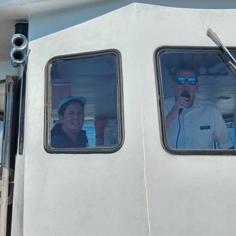 a close up of a train car