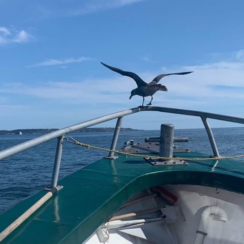 a small boat in a body of water