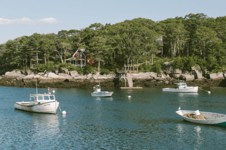 new harbor port view of boats with trees in background