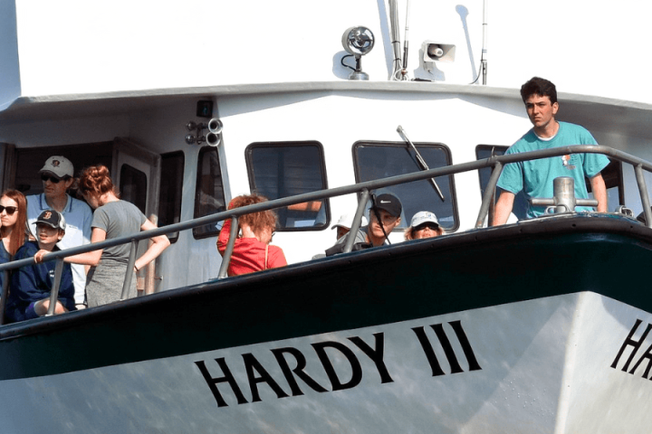 a group of passengers riding on the hardy boat 3 ferry