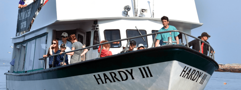 Hardy Boat 3 Full Boat Hero a group of passengers riding on the hardy boat 3 ferry