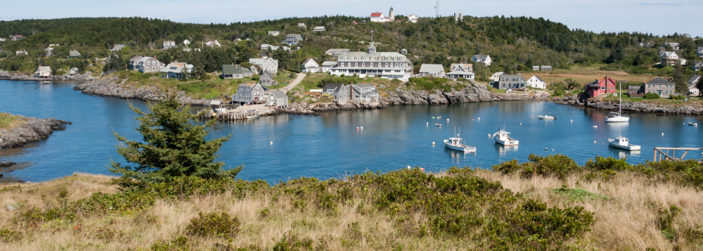 Coastal village with boats in a harbor, surrounded by hills, houses, and greenery.